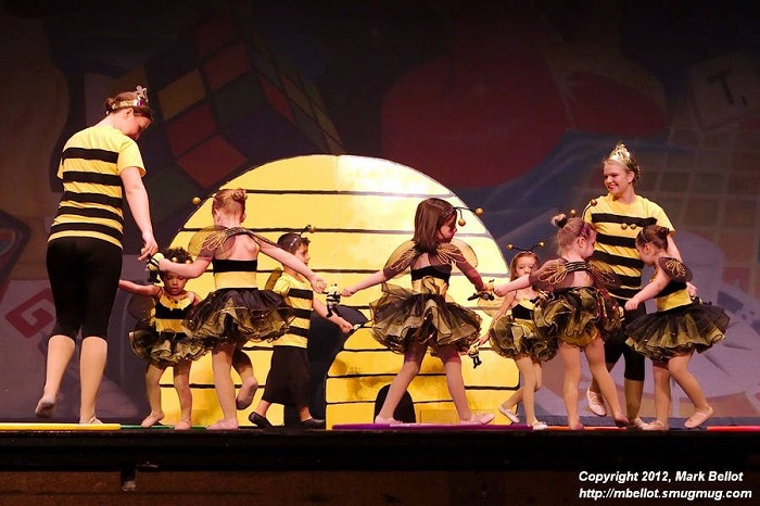 Little bees dancing in the AMA show